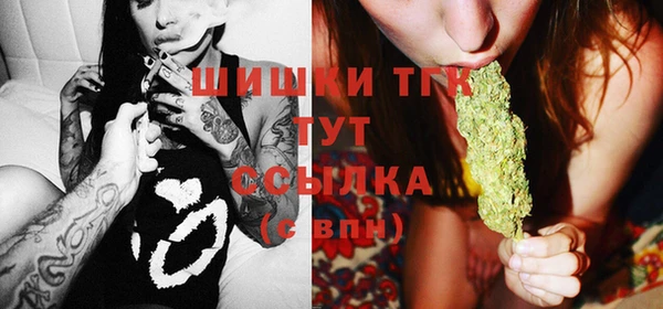 Альфа ПВП Аркадак