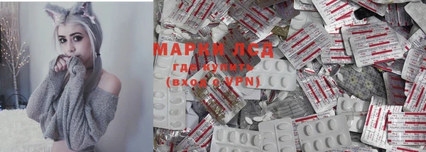 Альфа ПВП Аркадак
