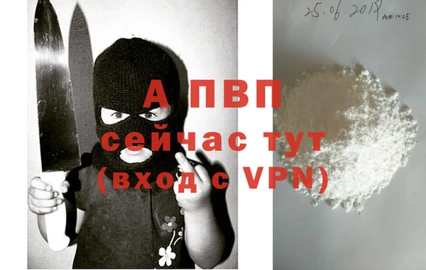 соль ск Арсеньев