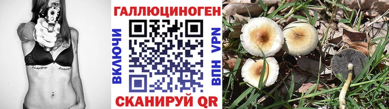 Галлюциногенные грибы Psilocybine cubensis  продажа наркотиков  Таштагол 